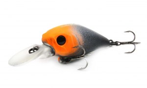 FISHYCAT ICAT 32F DR X12